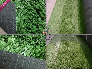 草国产 第2张 草国产 第2张